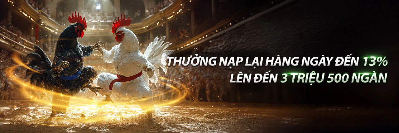 Sân đá gà Thomo kịch tính
